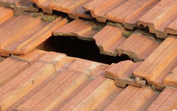 roof repair Forestreet, Devon